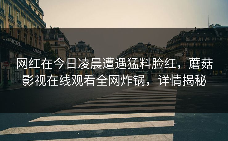 网红在今日凌晨遭遇猛料脸红，蘑菇影视在线观看全网炸锅，详情揭秘