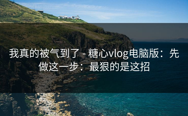 我真的被气到了 - 糖心vlog电脑版：先做这一步：最狠的是这招